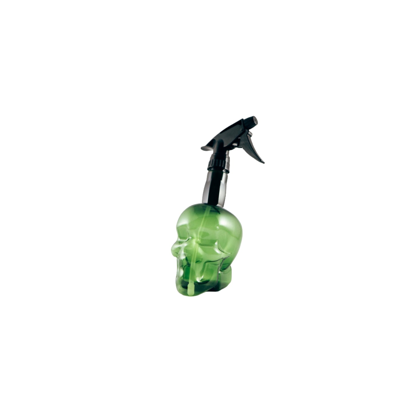 Skull Spray Bottle
